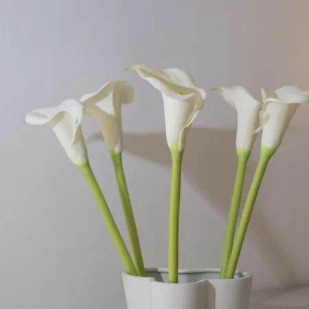 Wonderful House Sandra