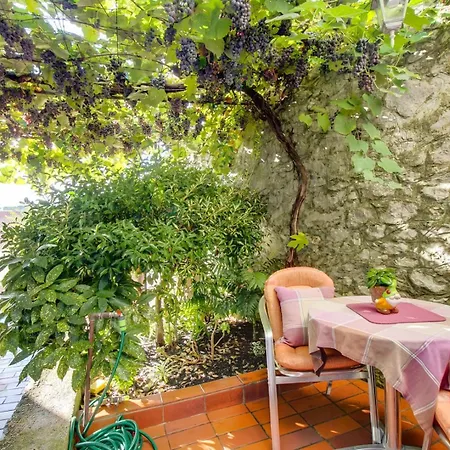 Wonderful House Sandra Gasthof 3*